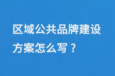 区域公共品牌建设方案怎么写