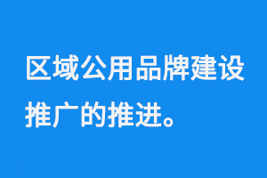 区域公用品牌建设推广的推进